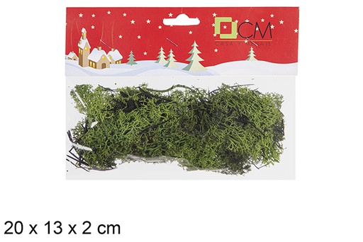 [107381] Light green lichen moss in bag 20x13 cm