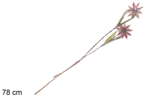 [113296] Ramo de decoração de Natal 2 flores secas vermelho/prata 78 cm