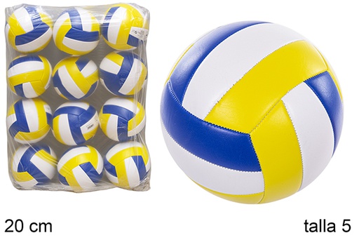 [112026] Ballon de volley-ball en cuir Taille 5