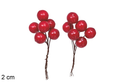 [117626] Branch with 12 red berries