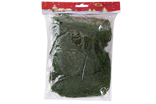 [117914] Mousse verte sous blister