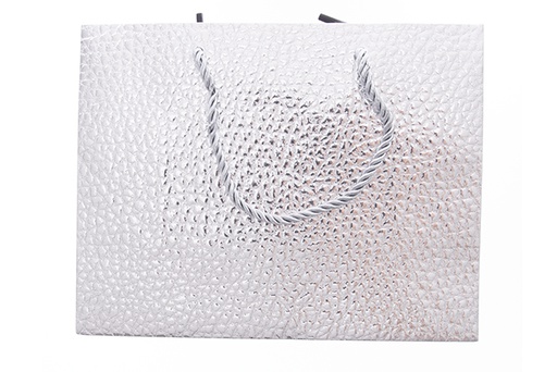 [121546] Busta regalo natalizia in argento 23x18 cm