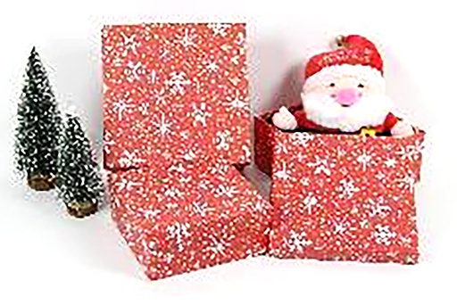 [123979] Pack 3 caixas de papelão decoradas de Natal 23x16x9.5 cm-4